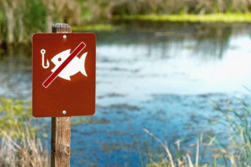 Сроки добычи водных биологических ресурсов на зимовальных ямах